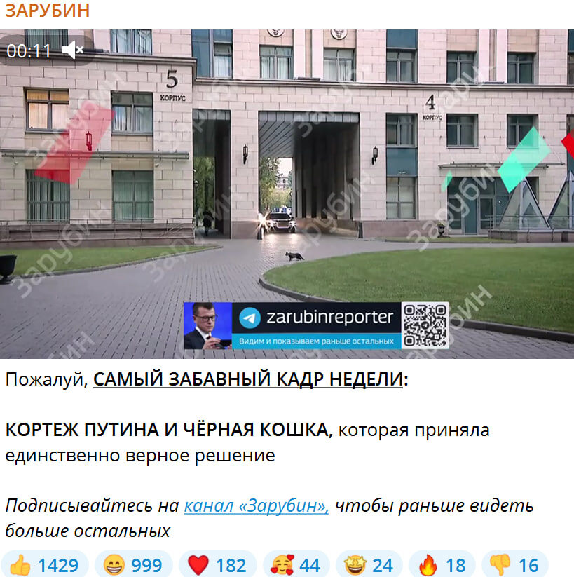    Скриншот: Зарубин/Telegram