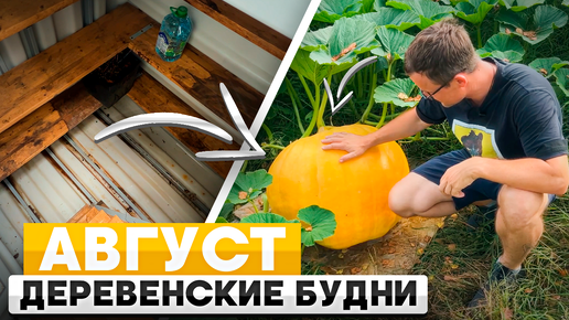 Download Video: Деревенские будни. Август.