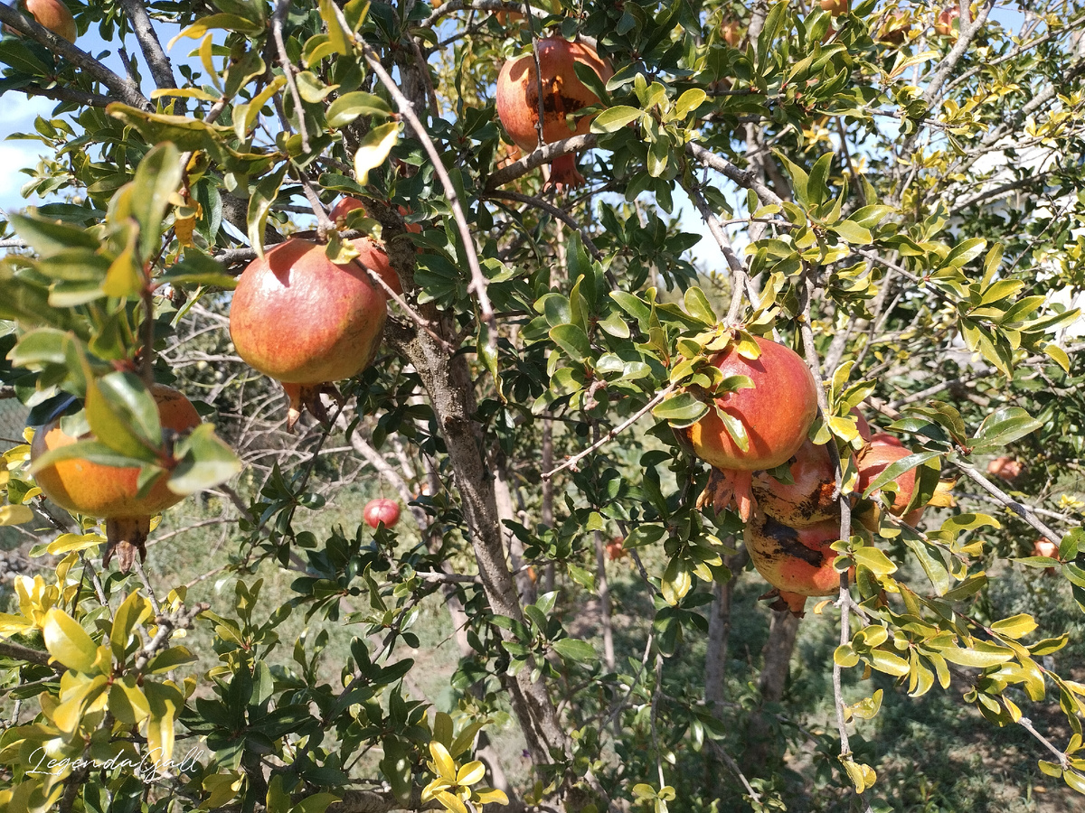 Почти елочные игрушки