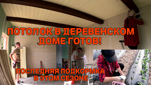 Жизнь в деревне. Осенние огородные хлопоты. Запустили тепло в старом доме. Перевоплощение старой избушки продолжается.