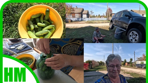 15 сентября. Она меня скоро убъёт 🙈. Дела огородные пора закруглять....хочу зиму 😞. Заквасила последние огурцы.