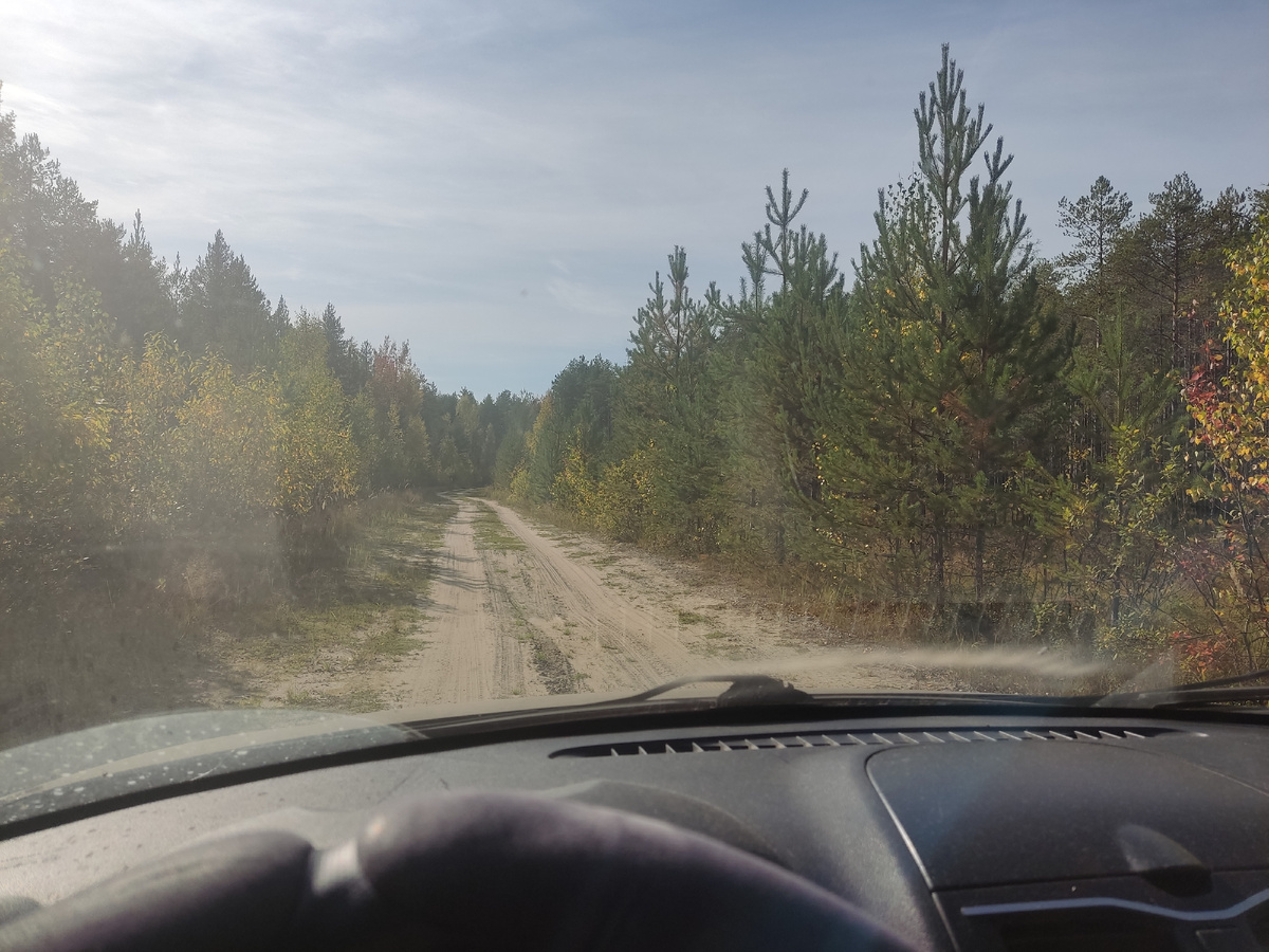 Лесная дорога, солнце, тепло, как летом. 