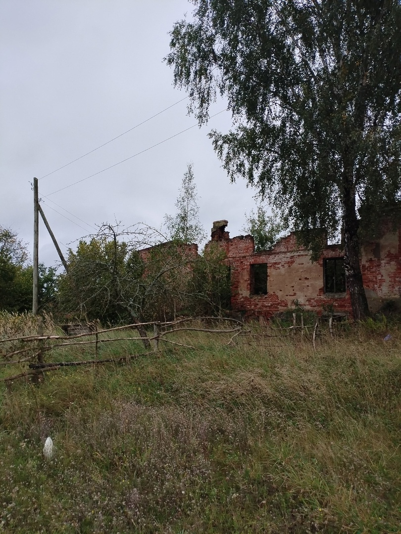 остатки приусадебного хозяйства