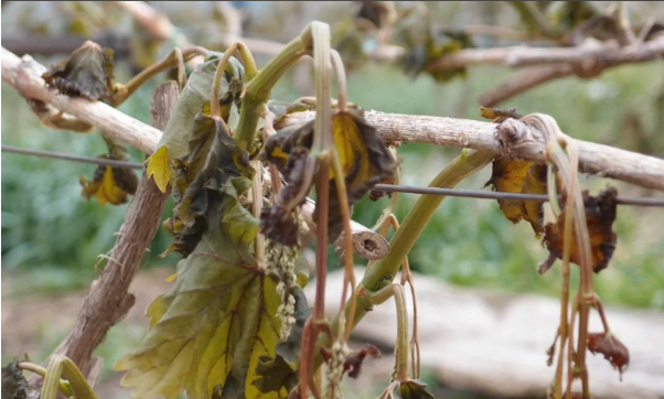 И такое бывает...