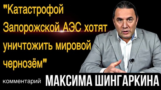 «Катастрофой Запорожской АЭС хотят уничтожить мировой чернозём». Комментарий Максима Шингаркина