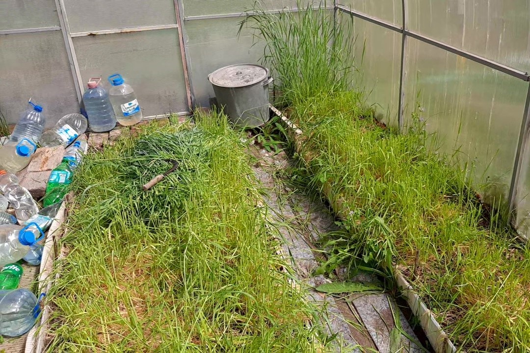 фото автора.