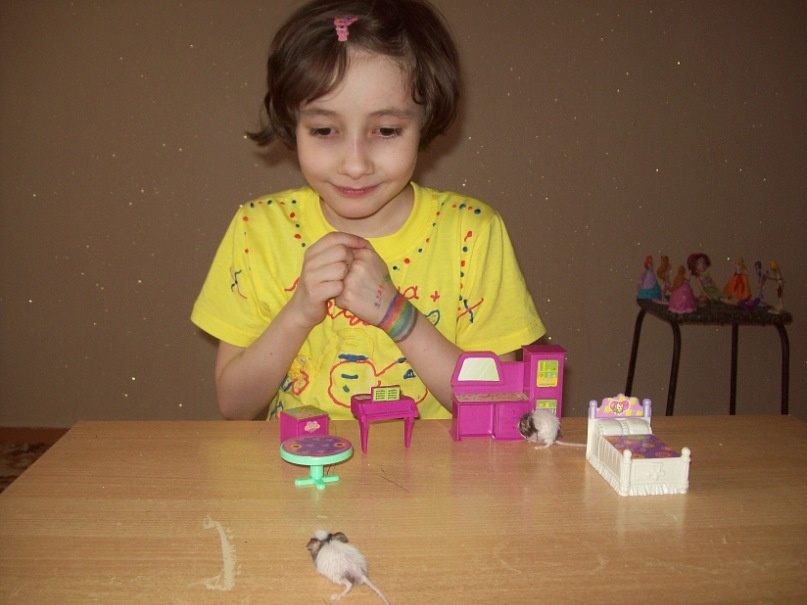 Маринетт Мортем и крохотные японские мышки