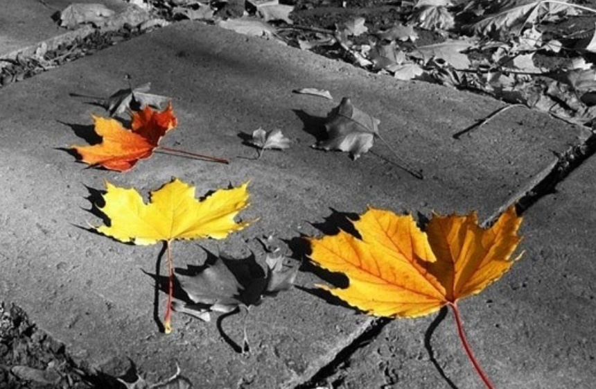 Фото взято из открытого источника. 