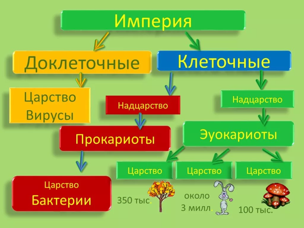 Устарело 