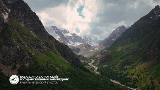 Поздравляем Вас с профессиональным праздником - Днем работника леса!