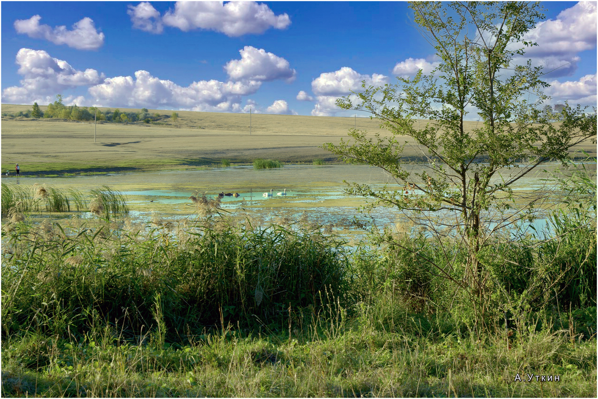 Так выглядит озеро в селе в.Чернавка в сентябре 2024 года..