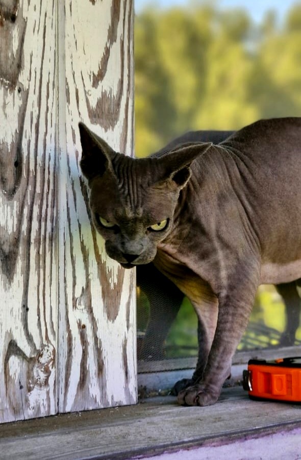 Фото автора
