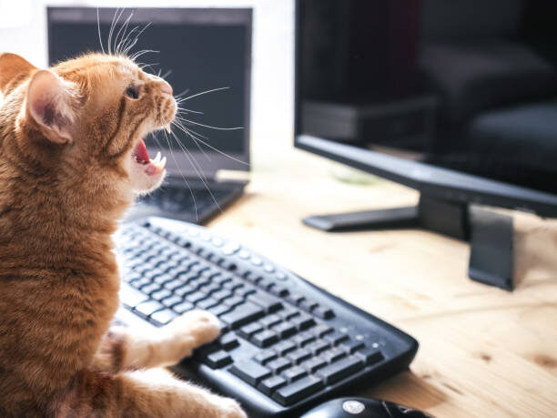 istockphoto