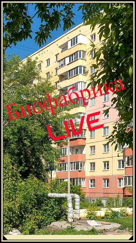 мой канал в телеграмм https://t.me/c/2226044779/125