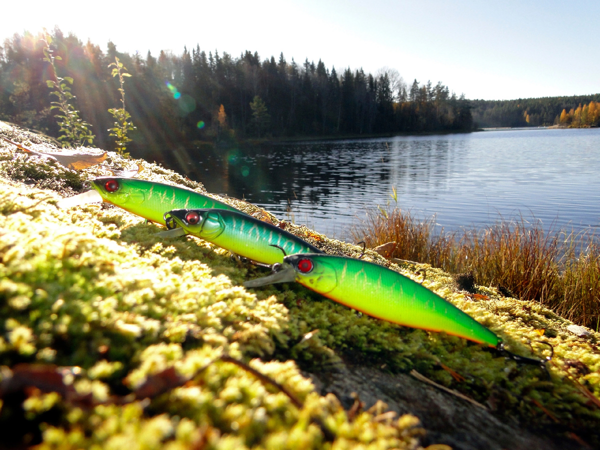 Парочка Jackall и Megabass