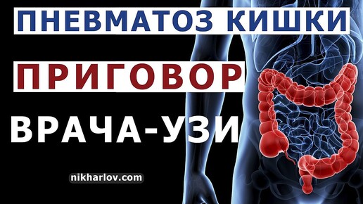 🎈 На УЗИ ПНЕВМАТОЗ кишечника - что это такое, каковы причины. Как лечится пневматизация кишечника.