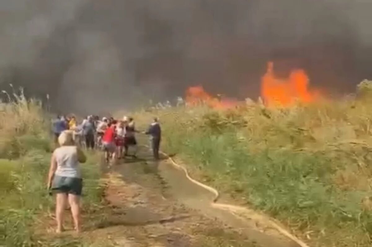    Губернатор Голубев: в Ростовской области тушат более 50 пожаров
