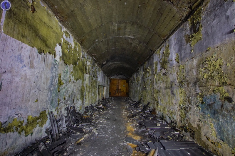 -59