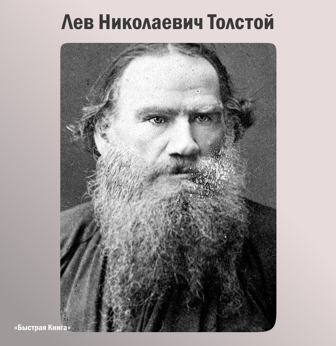 Автор книги - Лев Николаевич Толстой