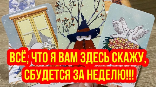 💯 Всё, что я вам здесь скажу, сбудется за неделю‼️ гадание на таро Tarot Reading