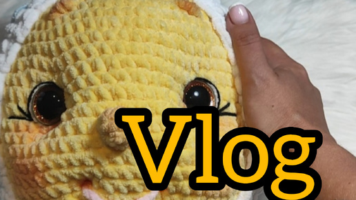 Vlog