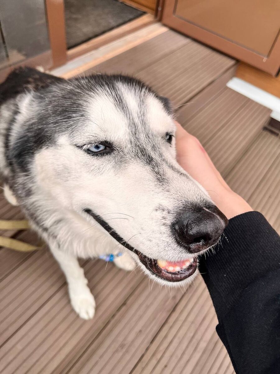 Улыбка друга бесценна