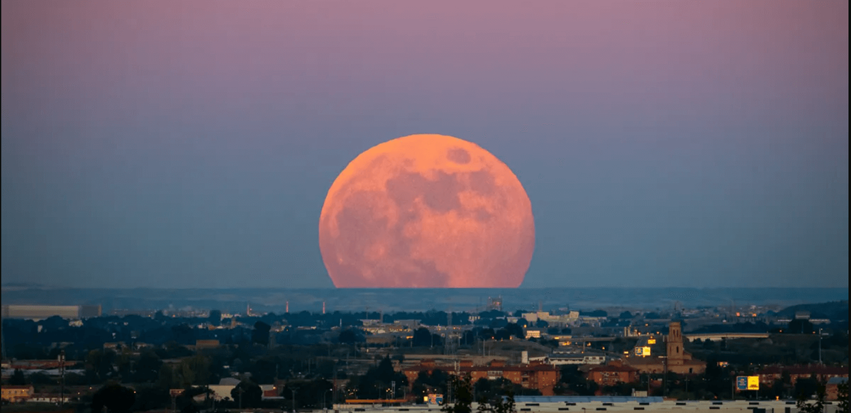    На самом деле мы всегда видим Луну одного и того же размера. Источник фото: iflscience.com