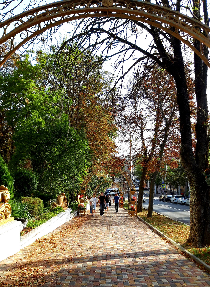 Фотография автора 