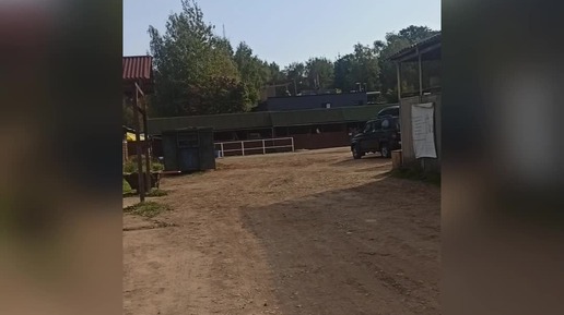 Были на конюшне и на конных соревнованиях, пока Луна выставлялась на выставке собак 15.09.24.