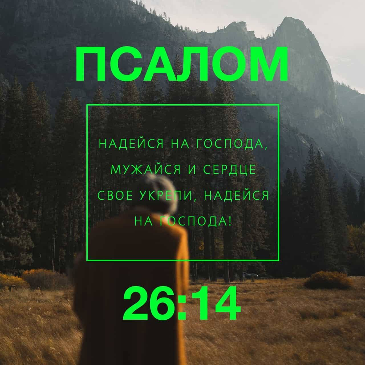 Псалтирь 26:14