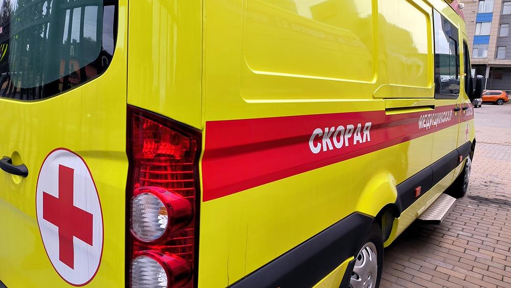 Фото: Maksim Konstantinov/Global Look Press