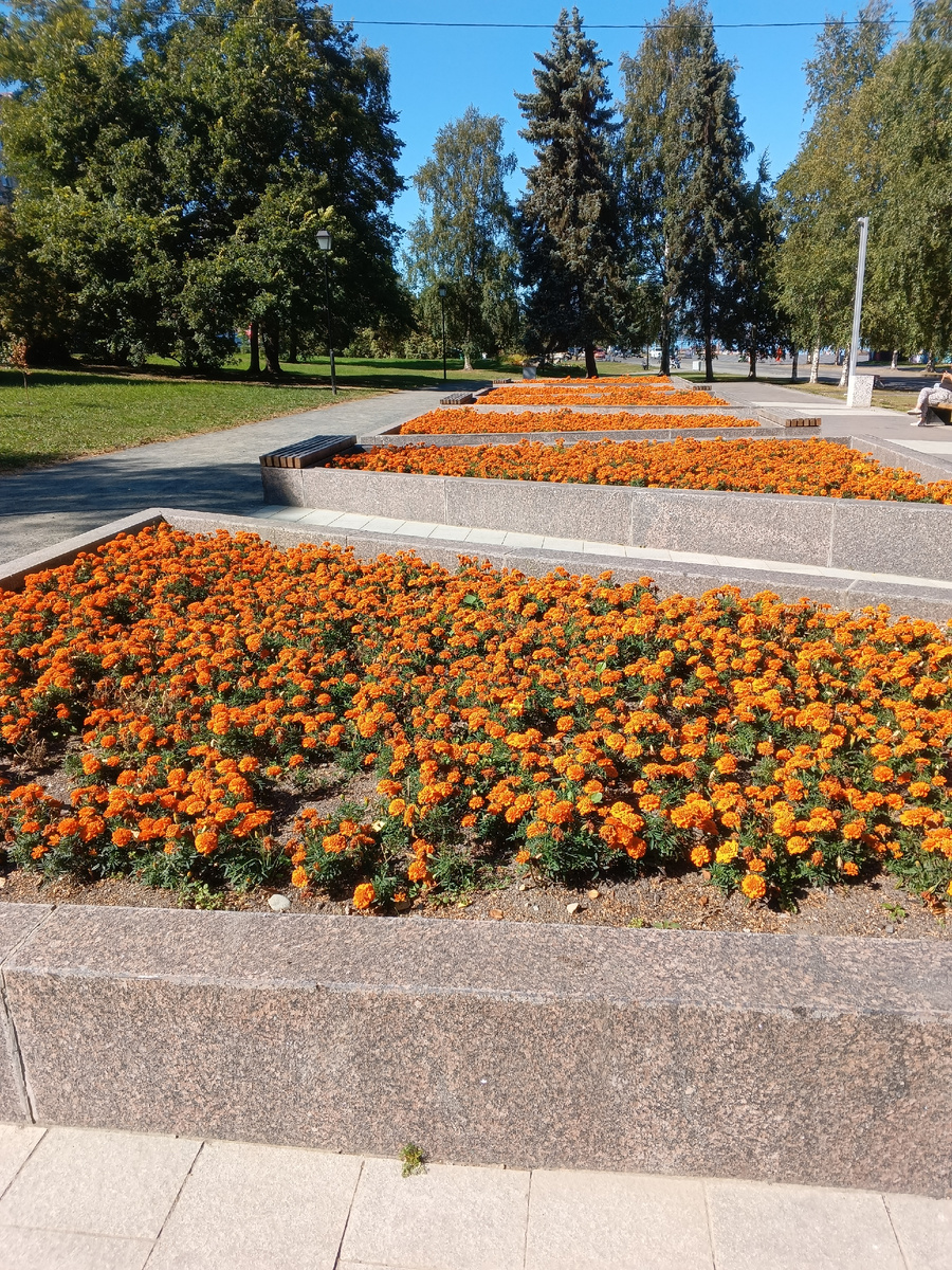 фото автора: такую красоту создают люди в северном городе, некоторые этого не ценят.