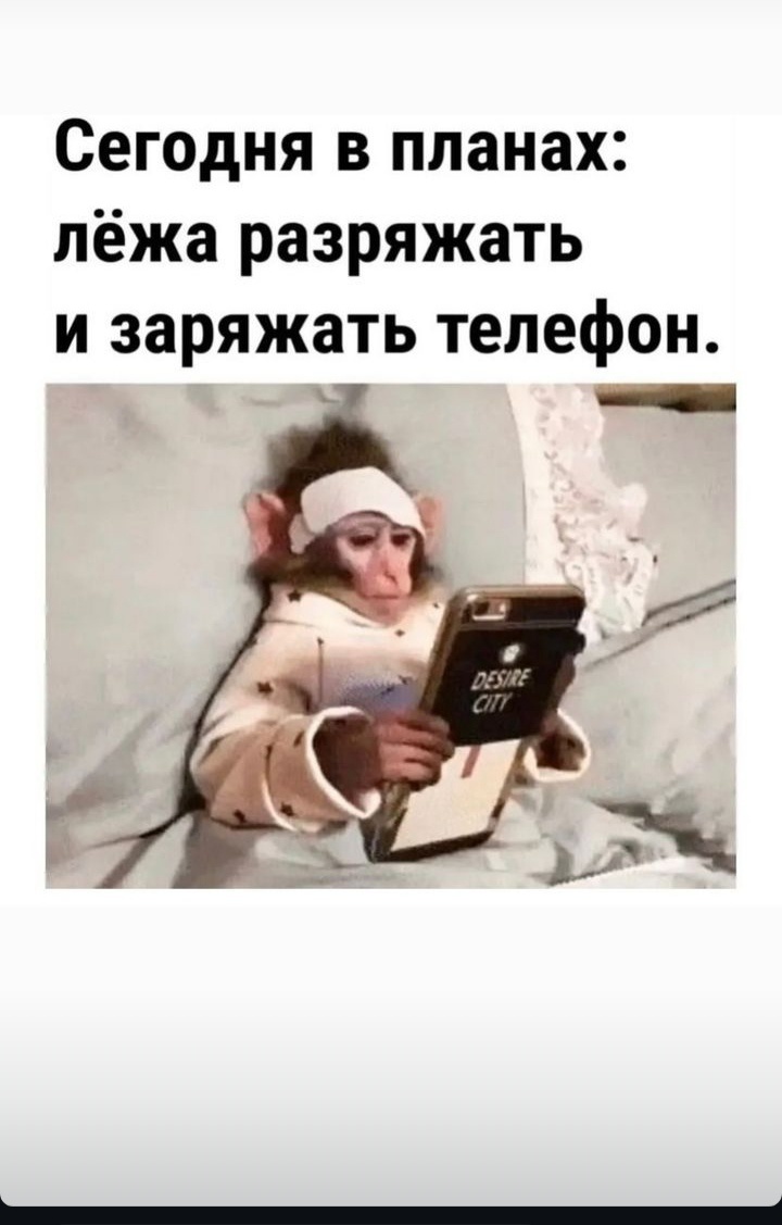 Фото из открытых источников.