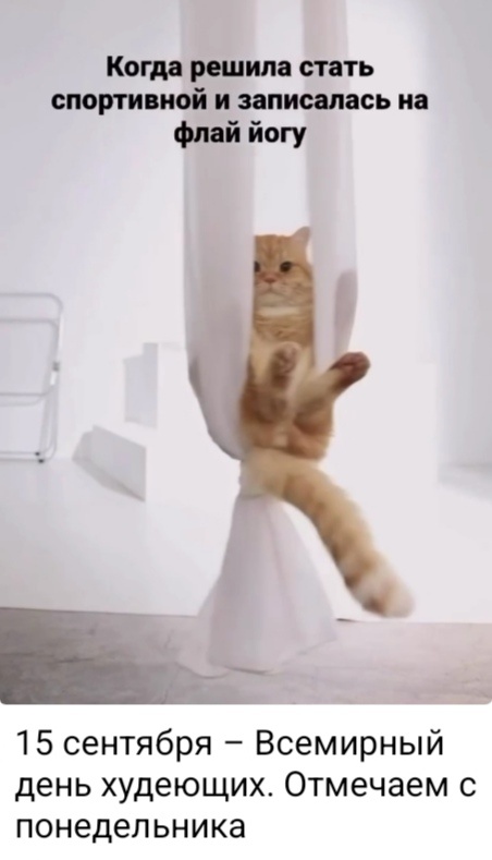 Фото из открытых источников.