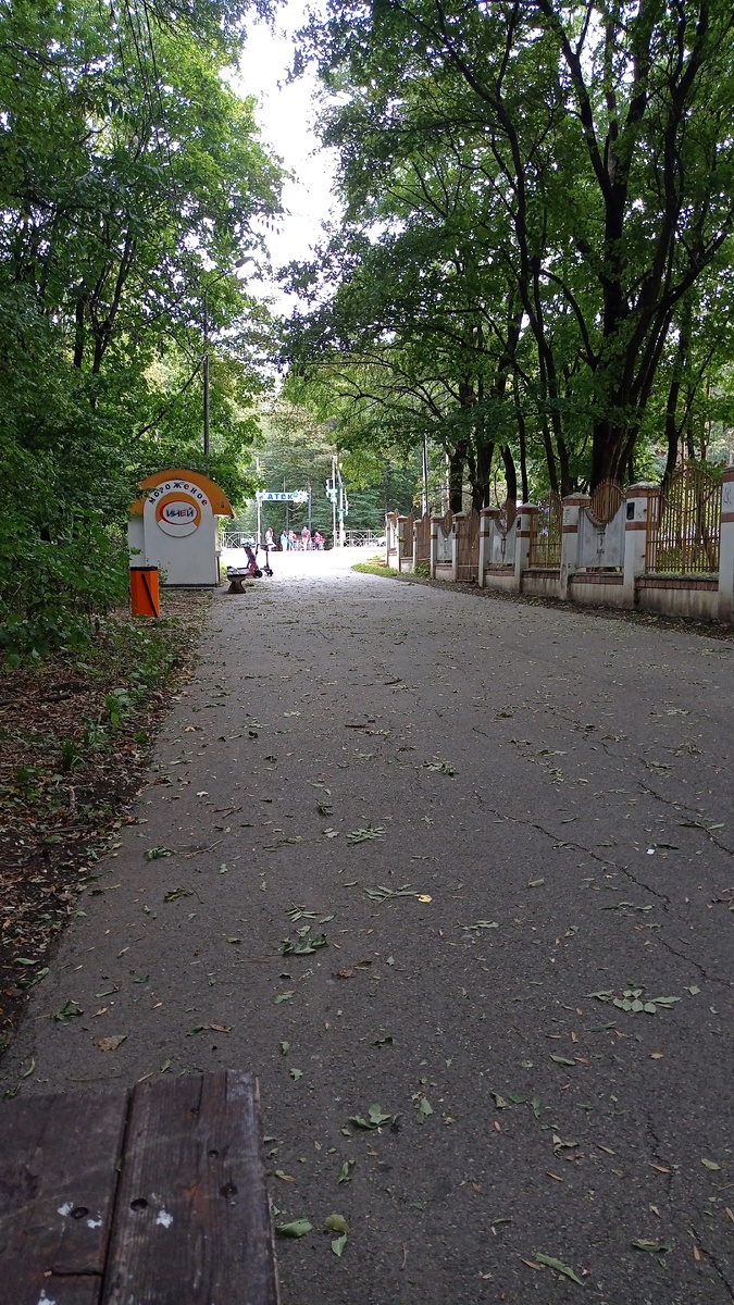 Фотография с прогулки в парке