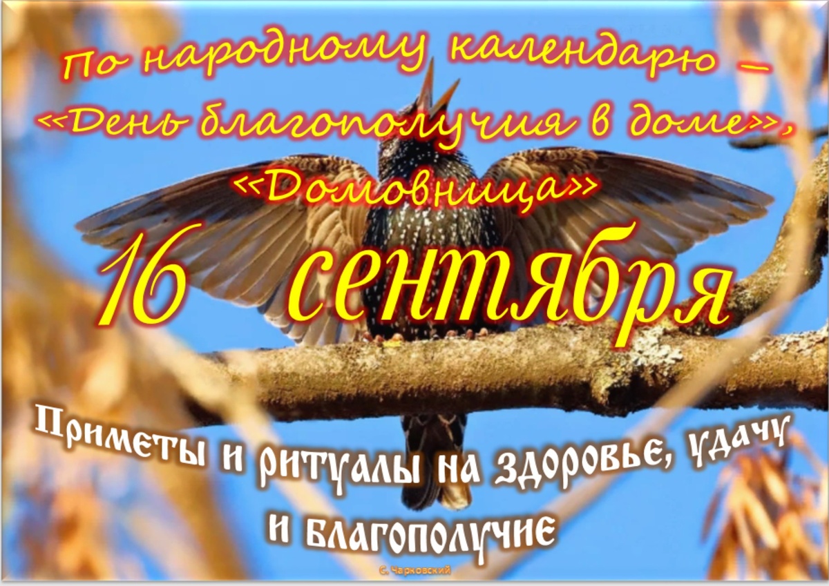 Встречаем новый день