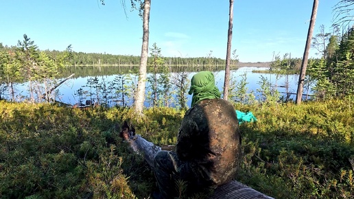 ПРОСНУЛСЯ УТРОМ В ЛЕСУ И ОБАЛДЕЛ. ЛОВ ОКУНЕЙ НА СПИННИНГ. РЫБАЛКА НА ТАЁЖНОМ ОЗЕРЕ. ПРОВЕРКА САМОЛОВОК