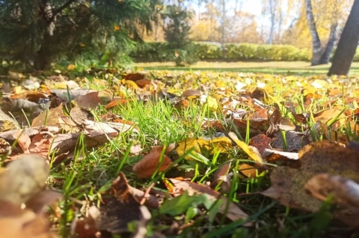    Потеплеет ещё больше: какая погода будет в Хабаровском крае 16 сентября