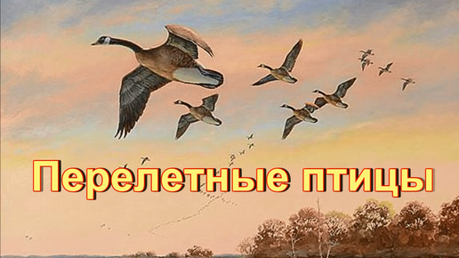 Перелетные птицы осенью. Презентация по окружающему миру.