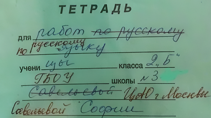 Иллюстрация к этому тексту — картинка, найденная в интернете. Не знаю, как она попала в интернет и как к этому относится сама София из второго класса