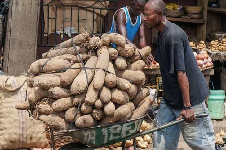    Фото с сайта dzen.ru