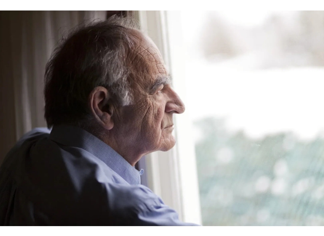 Фото из интернет 