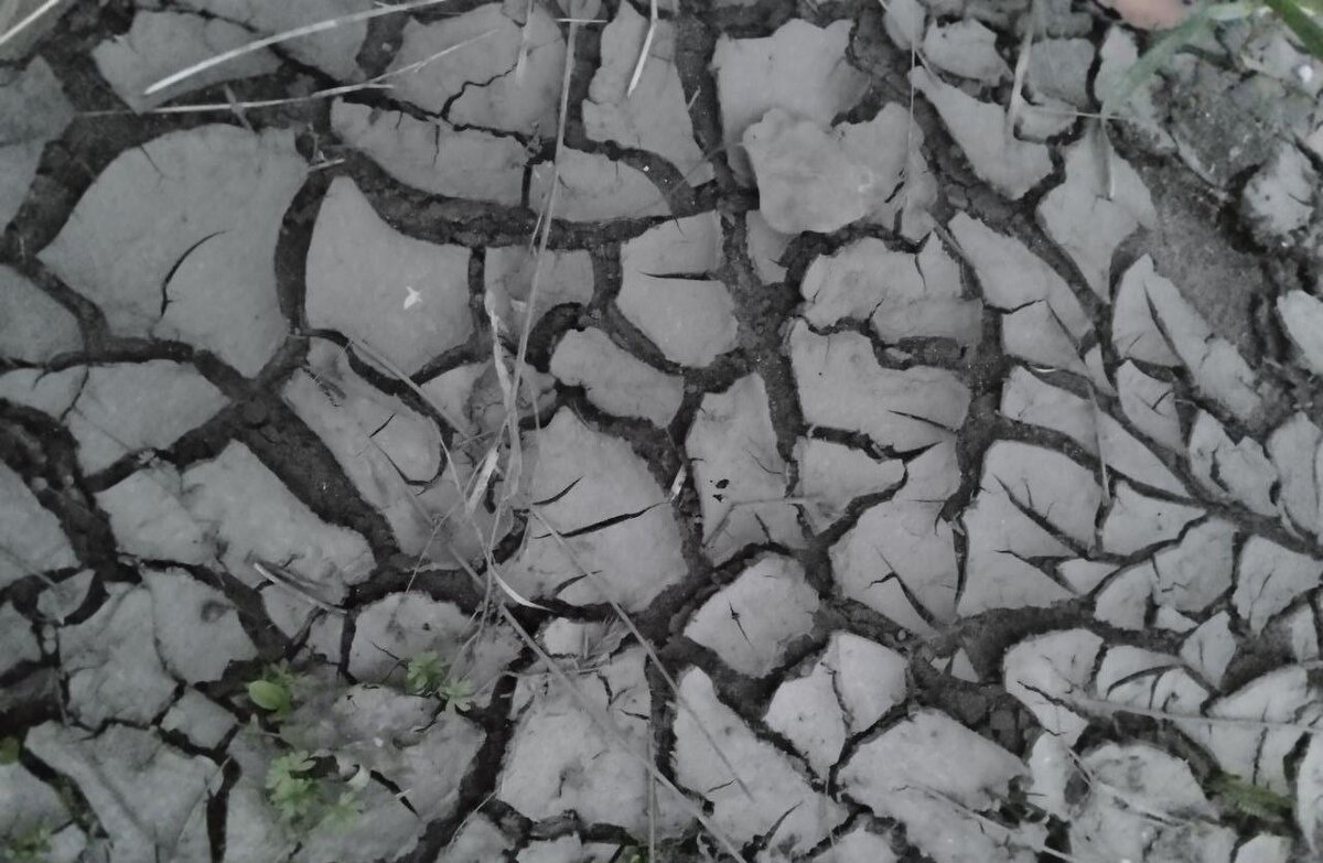Фото: АПК Новости