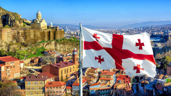    В Грузии прошли акции протеста против призыва Иванишвили извиниться перед Южной Осетией Егор Гордеев