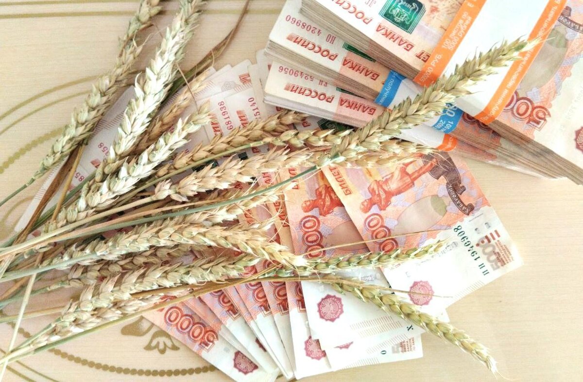 Фото: АПК Новости