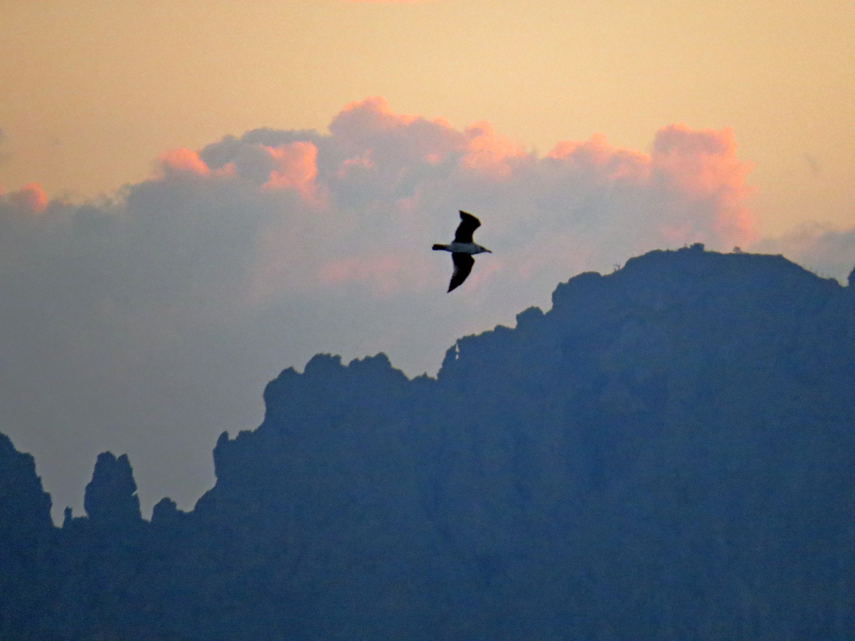 Листаем галерею