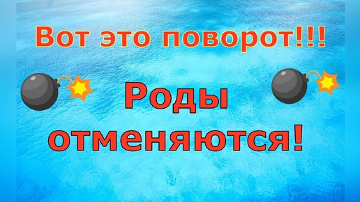 Деревенский дневник очень многодетной мамы \ Вот это поворот!!! Роды отменяются! \ Обзор влогов