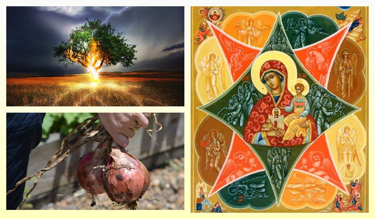 pixabay.com|azbuka.ru