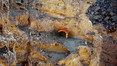 Неопалимая купина - реальное явление в Израиле, описанное в Библии. источник: vesty.co.il