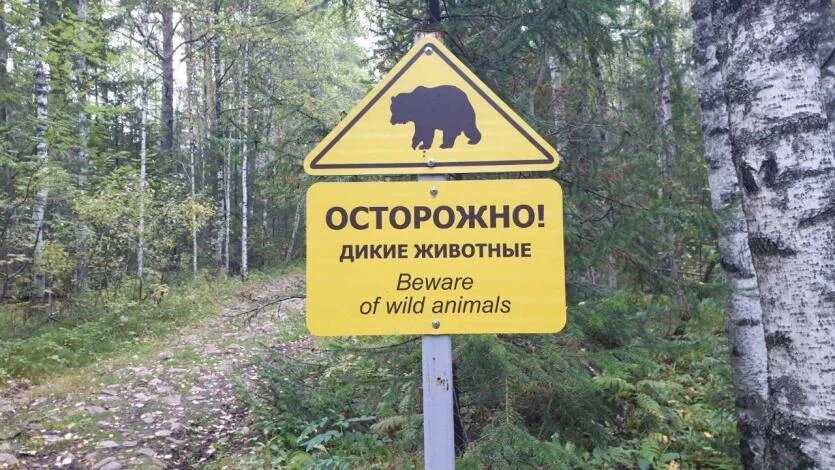 Фото: Нацпарк «Таганай»